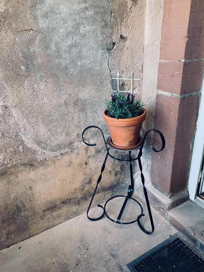 Appartement Avec Terrasse Privative Celles-sur-Plaine Exterior foto