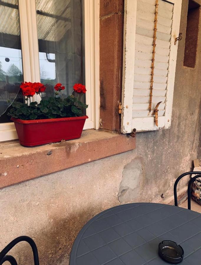 Appartement Avec Terrasse Privative Celles-sur-Plaine Exterior foto